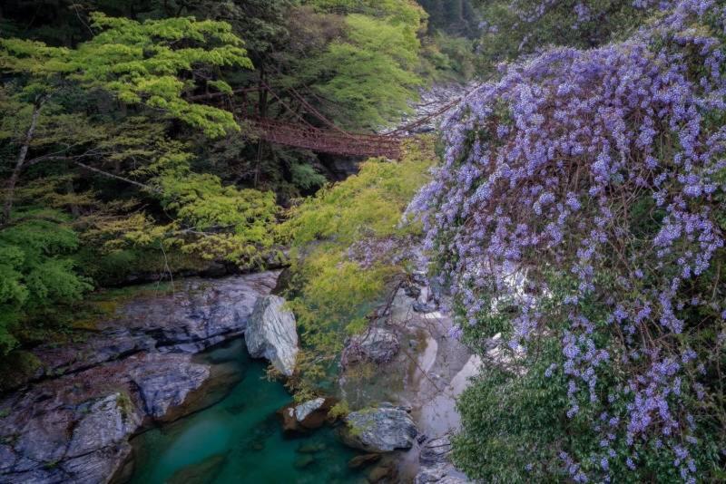 四国旅行のhub拠点 古民家ゲストハウス Heso Camp Miyoshi  Εξωτερικό φωτογραφία